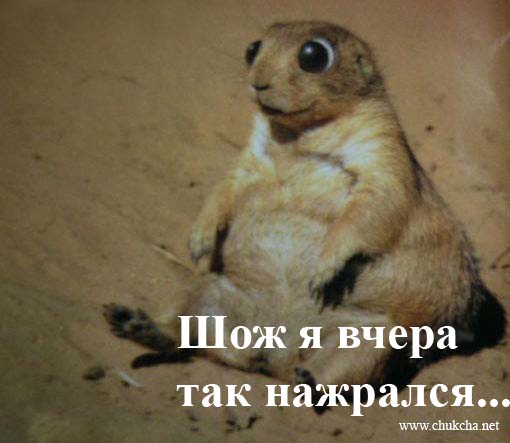 ! ...