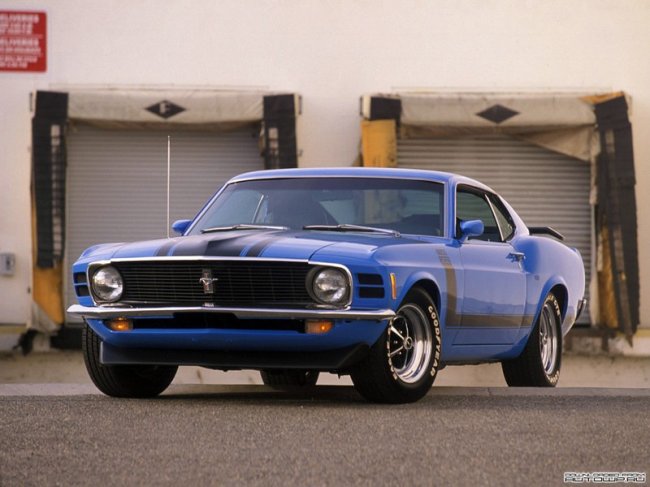 Ford Mustang (20 фото)