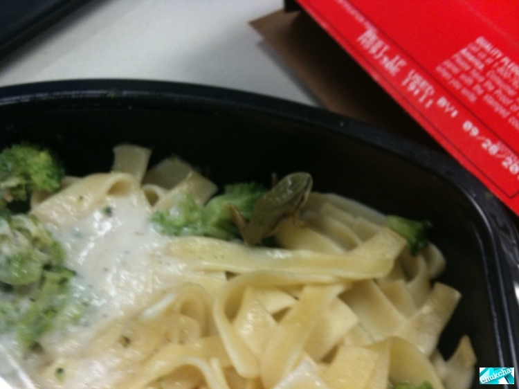 �������� � �������� (5 ����)