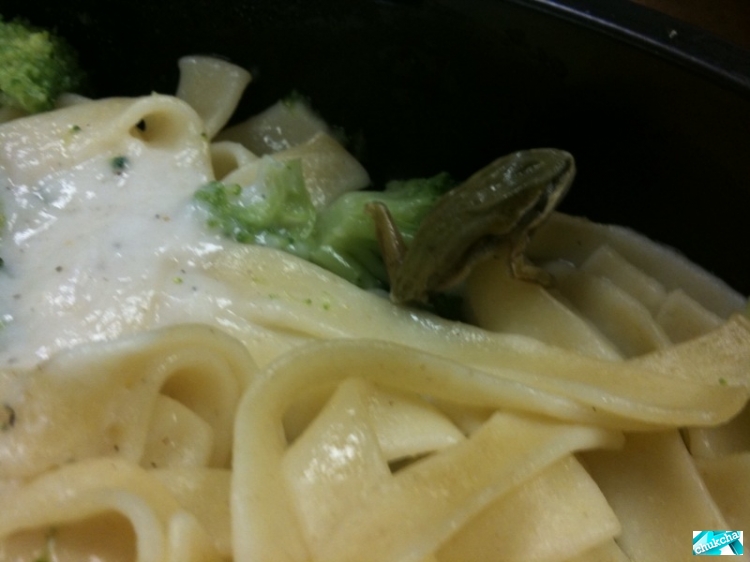 �������� � �������� (5 ����)