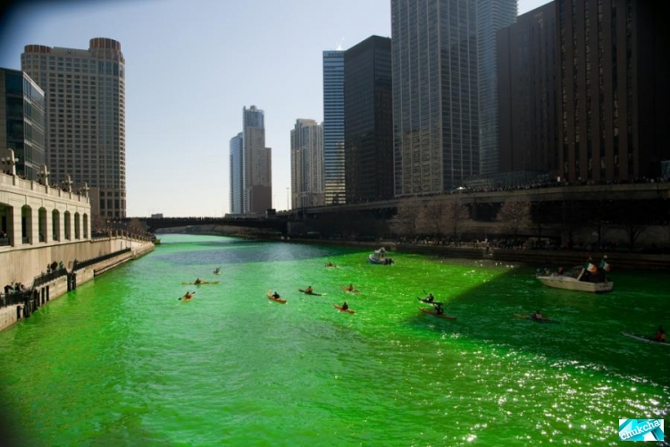 ���������� ���� (14 ����)