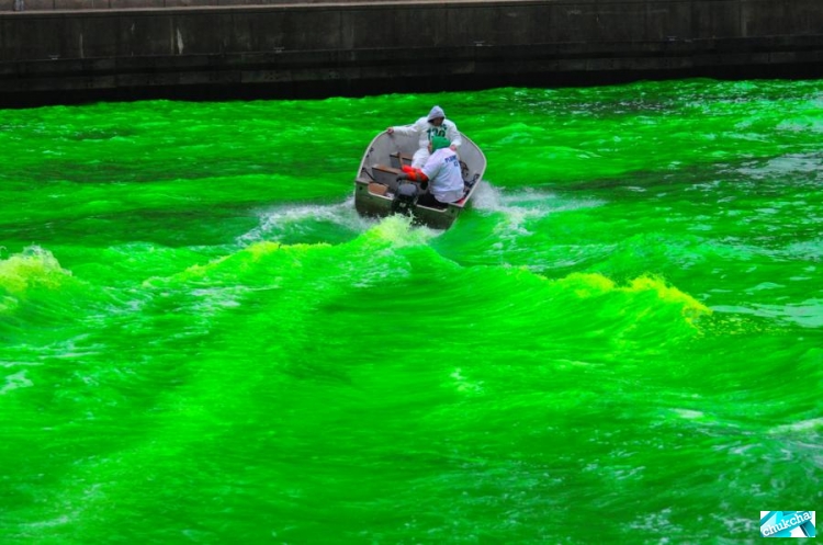 ���������� ���� (14 ����)