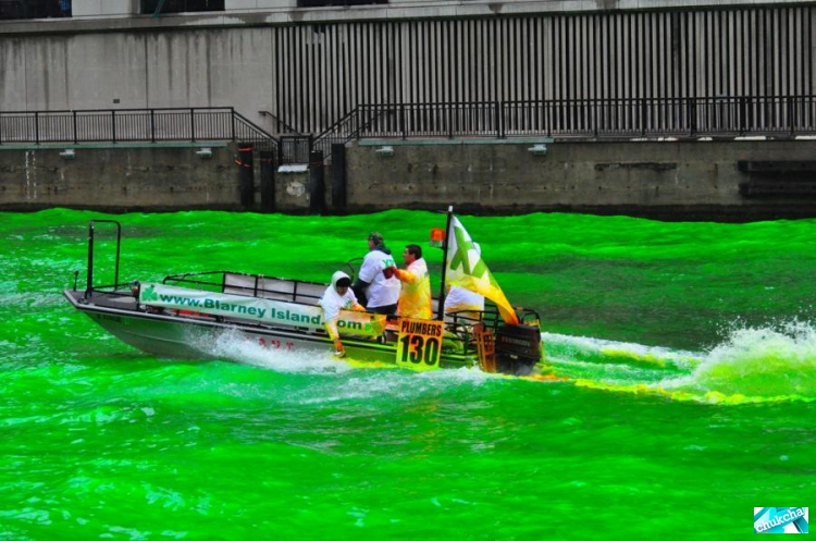 ���������� ���� (14 ����)