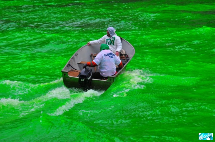 ���������� ���� (14 ����)