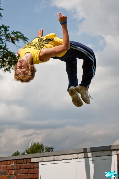   LeParkour (18 )