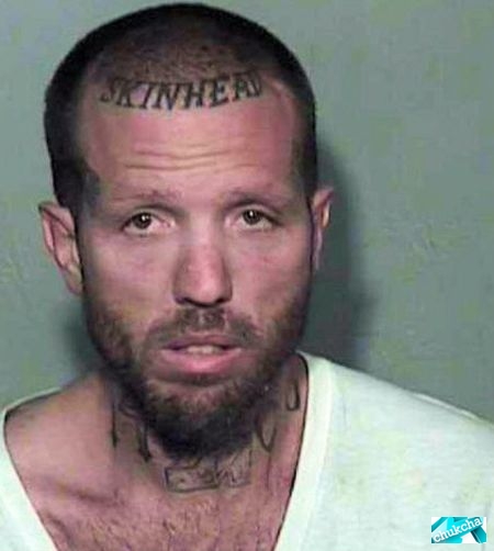 ���������� ������� ����� � ������������ (56 ����)