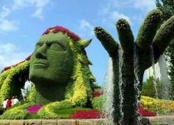 всячина всячина
