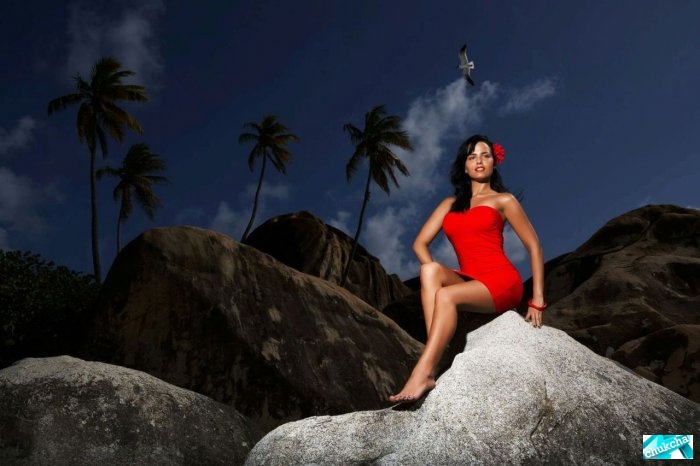 Miss Tuning Calendar 2010 (12 )