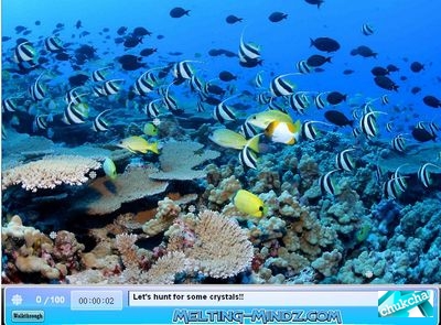 SSSG Ocean Life