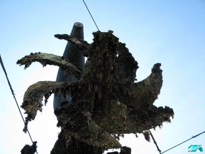 ��������� ����� �� ���������� (29 ����)