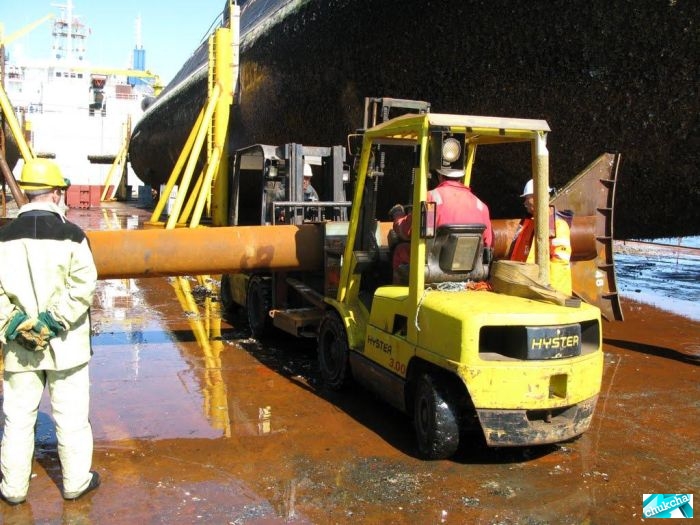 ��������� ����� �� ���������� (29 ����)