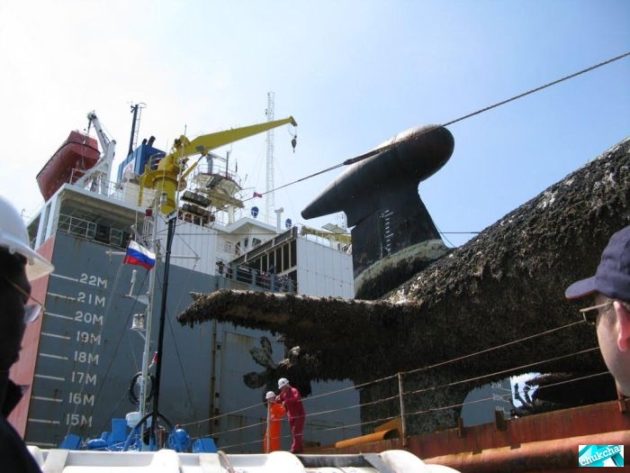 ��������� ����� �� ���������� (29 ����)