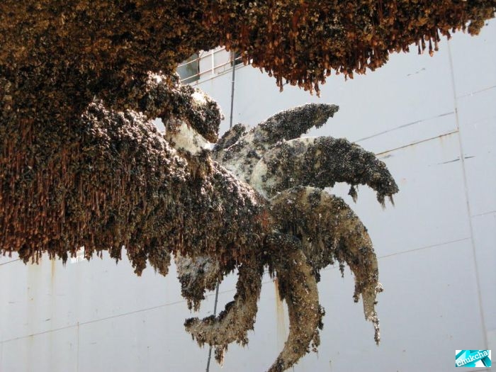 ��������� ����� �� ���������� (29 ����)