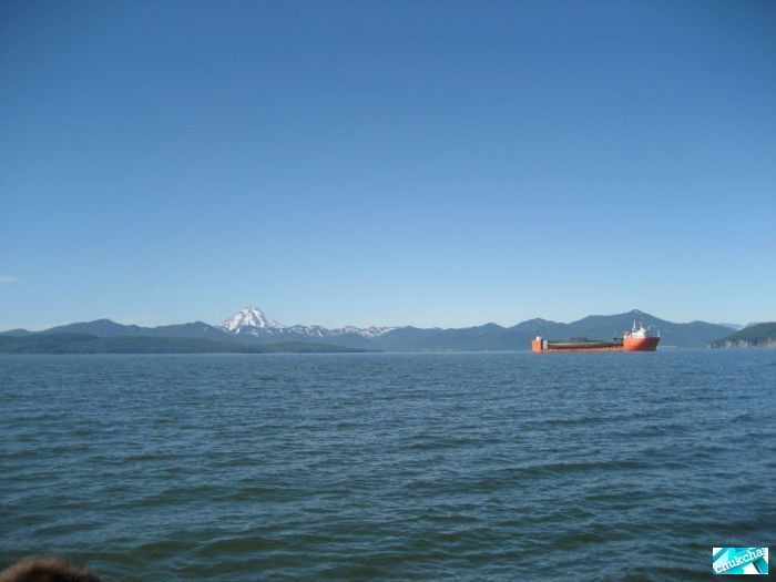 ��������� ����� �� ���������� (29 ����)