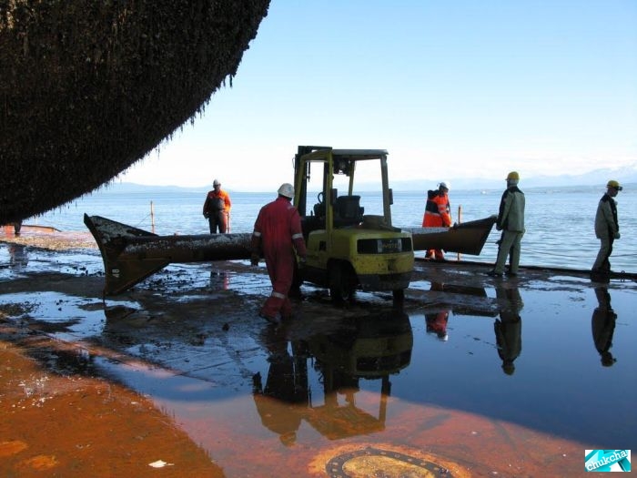 ��������� ����� �� ���������� (29 ����)