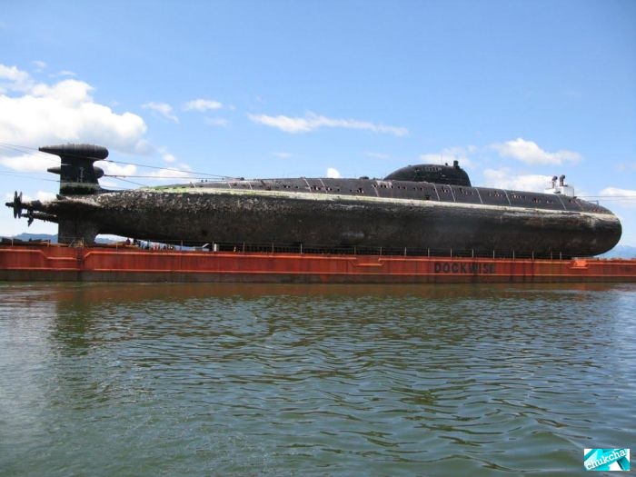 ��������� ����� �� ���������� (29 ����)