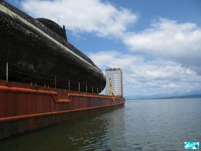 ��������� ����� �� ���������� (29 ����)