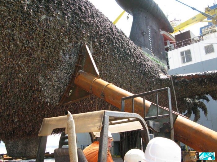 ��������� ����� �� ���������� (29 ����)