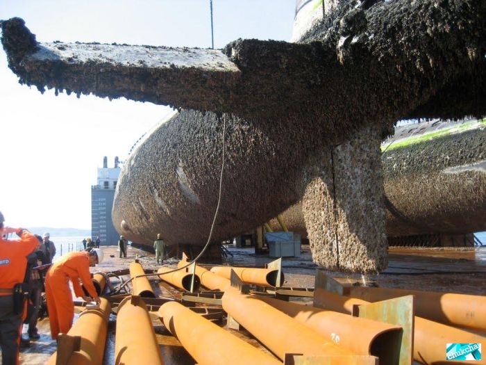 ��������� ����� �� ���������� (29 ����)