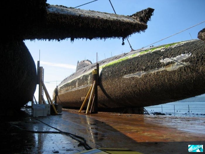 ��������� ����� �� ���������� (29 ����)