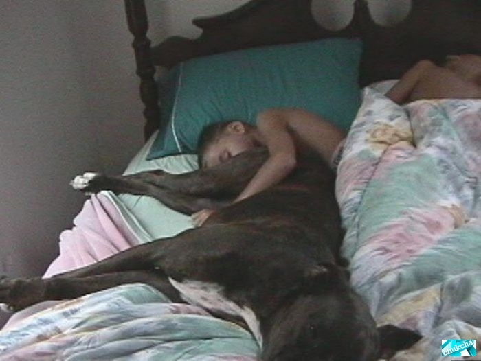 ��������� �������� (20 ����)