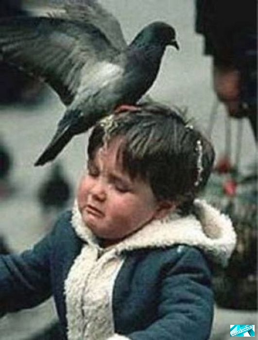 ��������� �������� (20 ����)