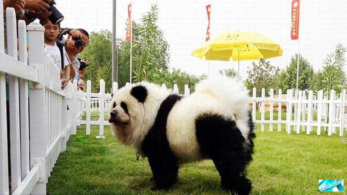 ��������� ������-����� � ������-����� (10 ����)