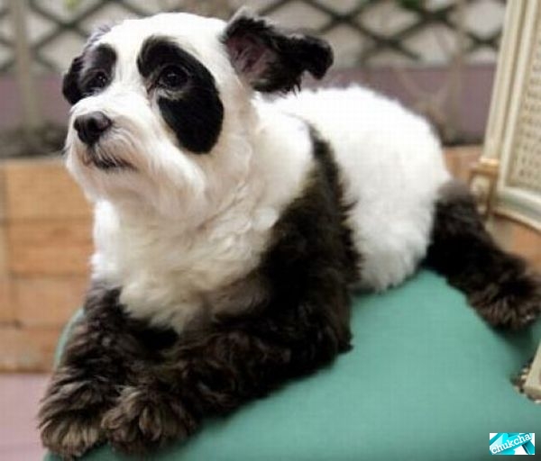 ��������� ������-����� � ������-����� (10 ����)