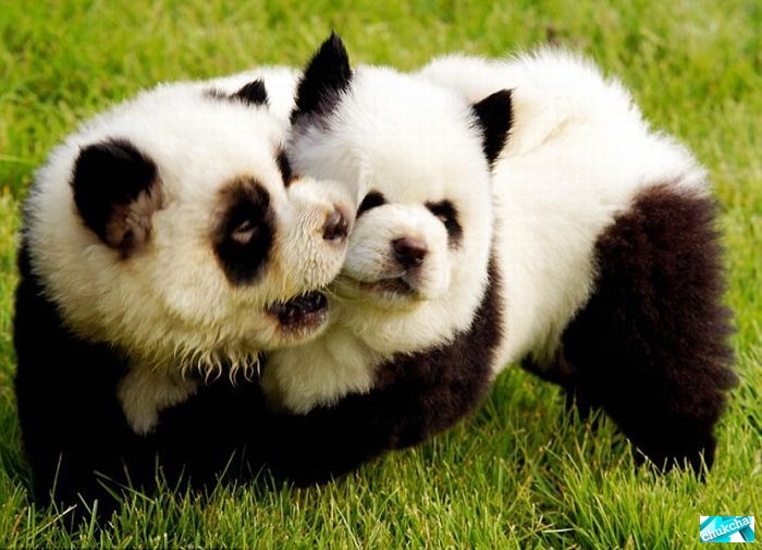 ��������� ������-����� � ������-����� (10 ����)