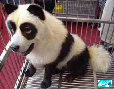 ��������� ������-����� � ������-����� (10 ����)