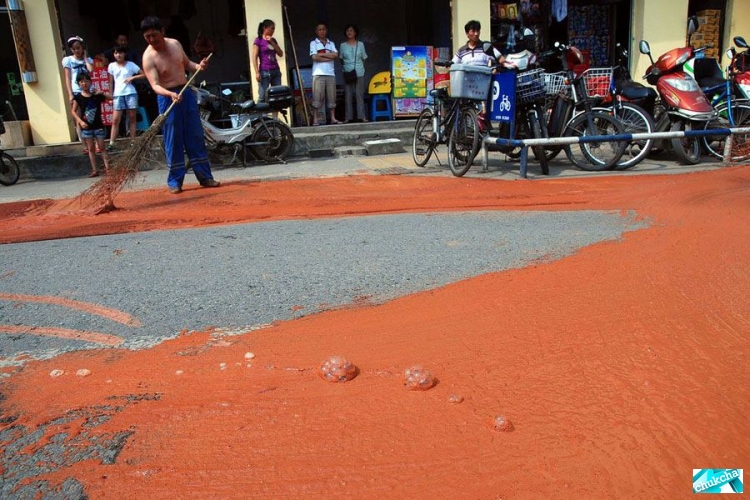 ���� ������ �� ������� � ����� (5 ����)