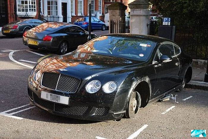  Bentley  (3 )
