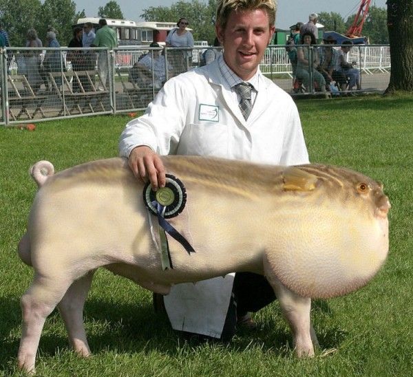   (90 )