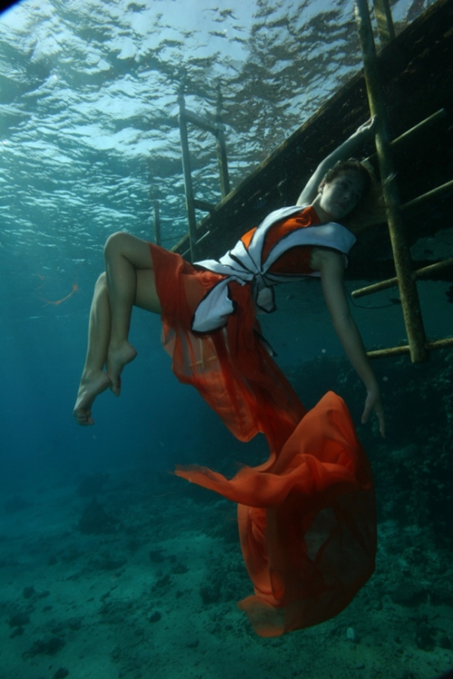      Epson Red Sea 2010 (25 )