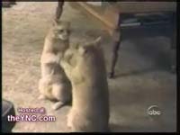 Новое видео для вас. Новое видео для вас.
