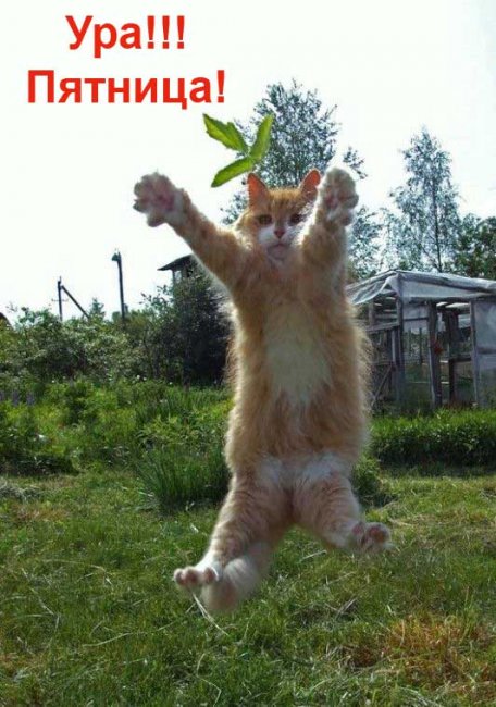 Фото дня! Пятница! Фото дня! Пятница!