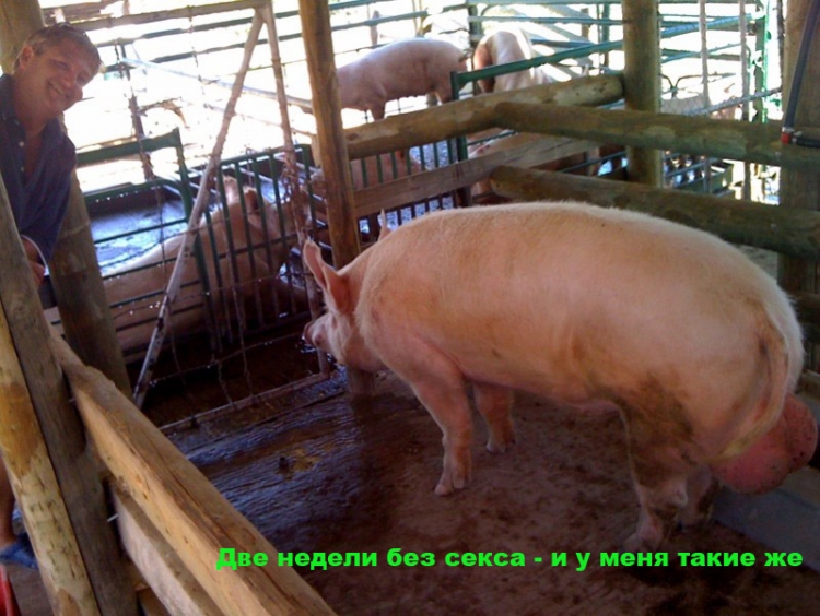 всячина всячина